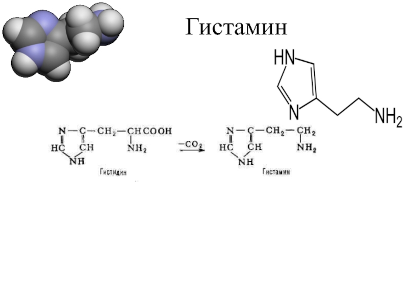 Гистамин это. Гистамин структурная формула. Гистамин формула химическая. Протонирование гистамина. Гистамин строение.