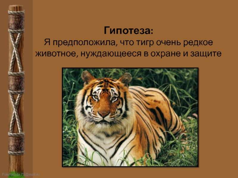 Какие животные нуждаются. Гипотеза про тигра. Какое животное нуждается в охране. Животные нуждающиеся в охране 2 класс окружающий мир. Гипотеза на тему тигры.