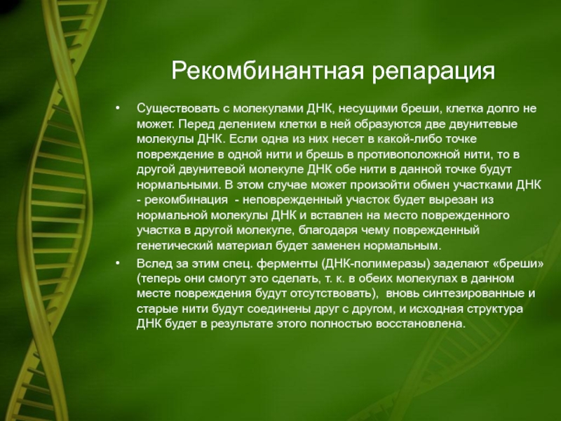 Днк несет информацию. Рекомбинантная репарация. Рекомбинативная репарация ДНК. Мутагенез и репарация ДНК. Рекомбинационная репарация ферменты.