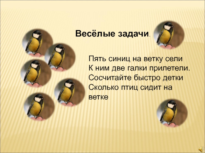 Егор повесил на дерево кормушку для птиц на диаграмме показано сколько воробьев и синиц прилетало