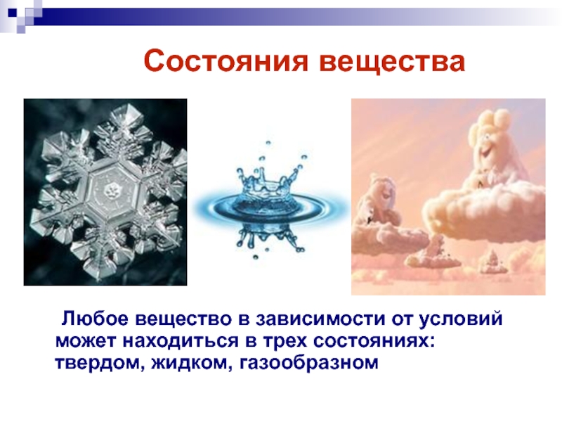 Может находиться в трех состояниях. Жидкое состояние вещества химия 11 класс. Презентация жидкое состояние вещества 11 класс химия. Любое вещество. Жидкие вещества химия 11 класс презентация.