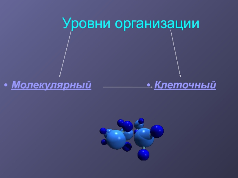 Уровни организации молекул. Уровни молекулярной организации клетки. Молекулярный и клеточный уровень. Молекулярный уровень клеточный уровень. Уровень организации молекулярный клеточный лягушки.