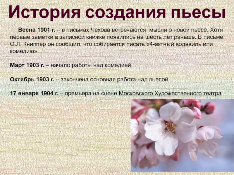 История создания пьесы   Весна 1901 г. – в письмах Чехова встречаются мысли о новой пьесе.