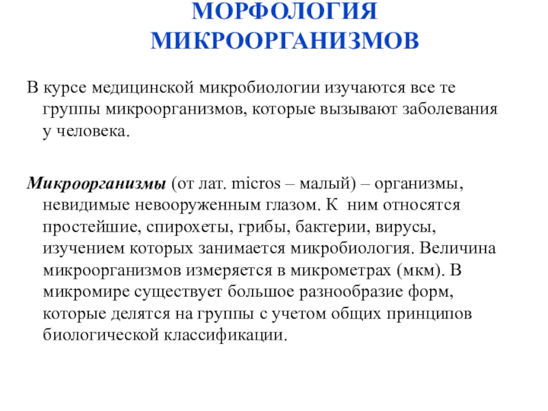 Морфология микроорганизмов микробиология. Морфология микроорганизмов. Морфология в микробиологии это. Классификация и морфология микроорганизмов. Основы классификации микроорганизмов морфология микроорганизмов.