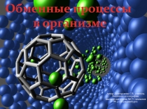 Автор Долгорукова С.В., учитель биологии и географии
высшей категории МОУ