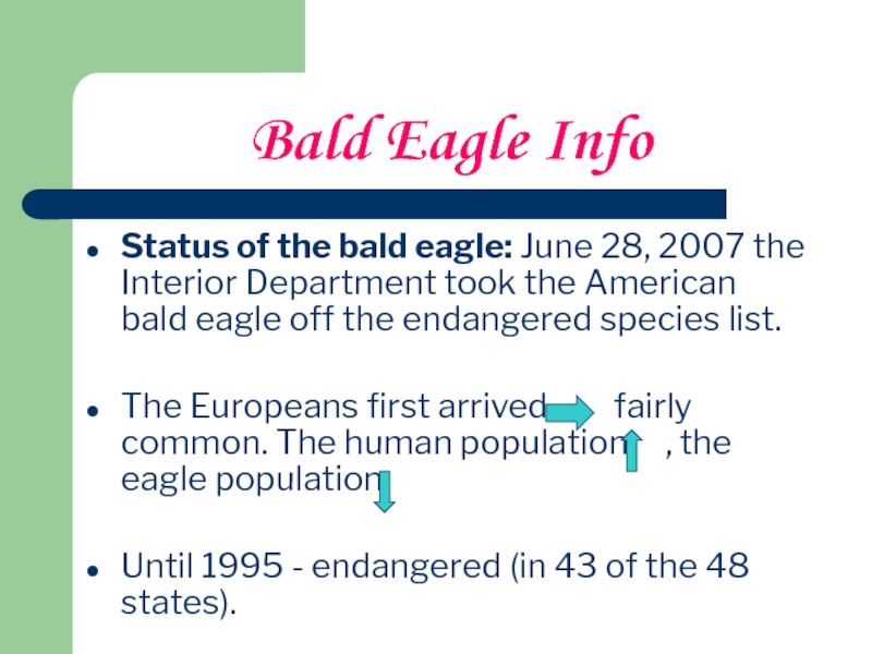Доклад по теме Eagle