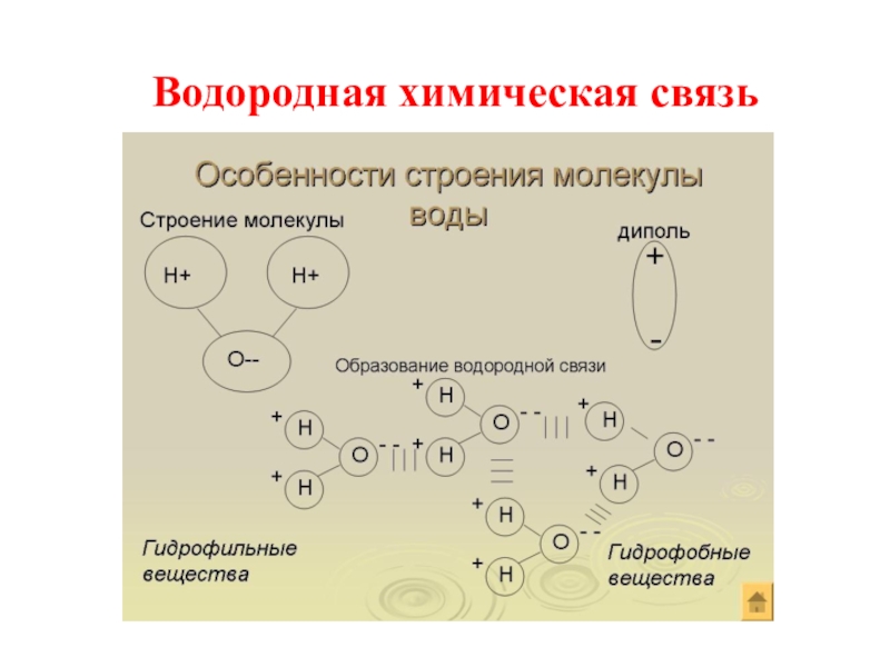 Водородная химическая связь заполните схему