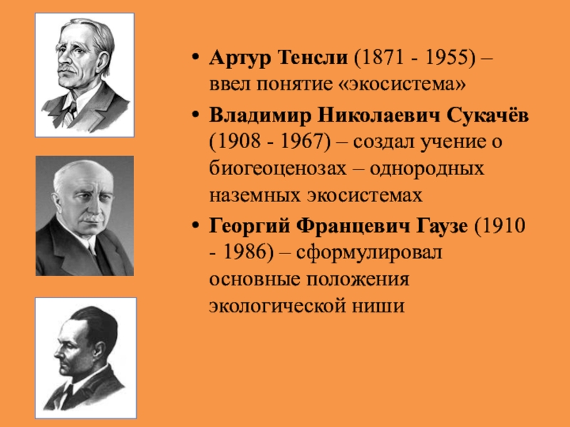 Кто ввел термин экология. Сукачев биолог. Артур Тенсли (1871 - 1955). Артур Тенсли экосистема. Артур Тенсли учение об экосистеме.