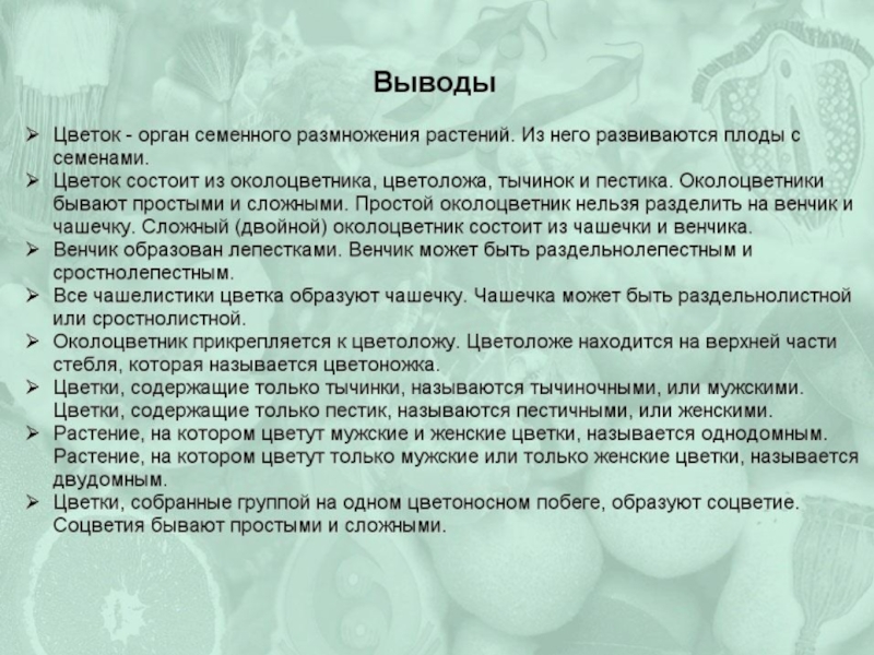 Цветок содержащий только тычинки называют. Вывод соцветия. Лабораторная работа соцветия. Вывод на тему соцветие. Вывод по теме соцветия.