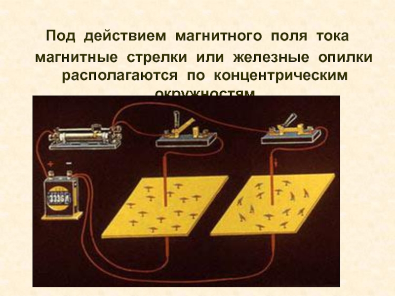 Магнитный ток. Воздействие магнитного поля на магнитную стрелку. Объяснения магнитного тока. Магнитное поле тока опилки. Железные опилки в магнитном поле прямого тока.