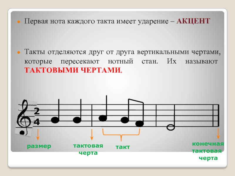 Первая нота каждого такта имеет ударение – АКЦЕНТТакты отделяются друг от друга вертикальными чертами, которые пересекают нотный