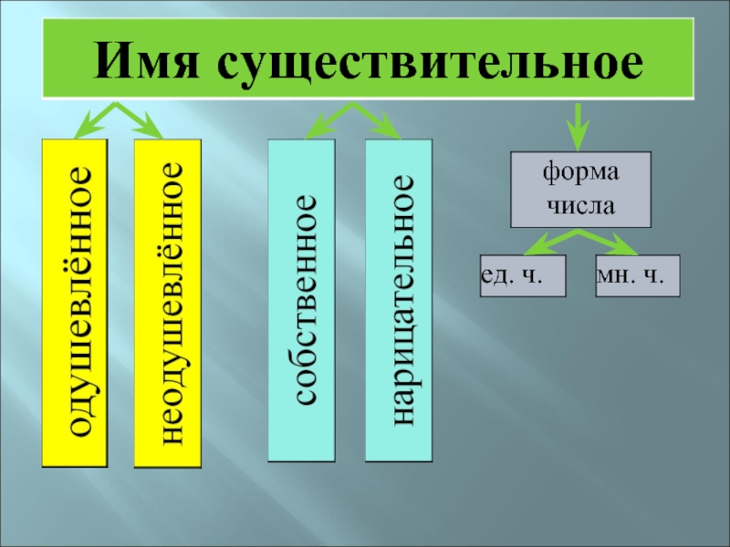 Имя существительное презентация