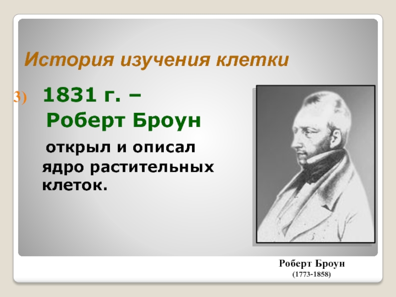 История изучения клетки клеточная теория. 1831-33 – Роберт Броун. Роберт Броун открыл. Роберт Броун открытие клетки. Роберт Броун открытие ядра.