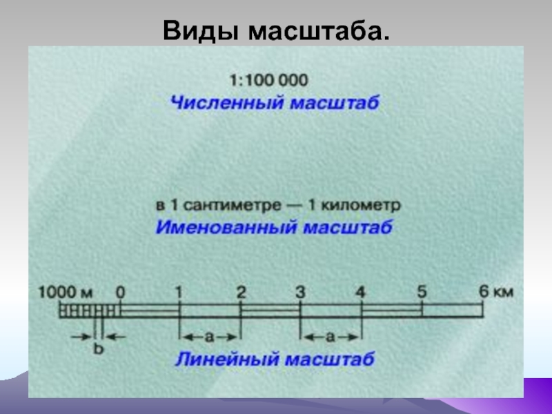 Масштабы проектов 10 класс