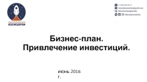 Бизнес-план.
Привлечение инвестиций.
июнь 2016 г