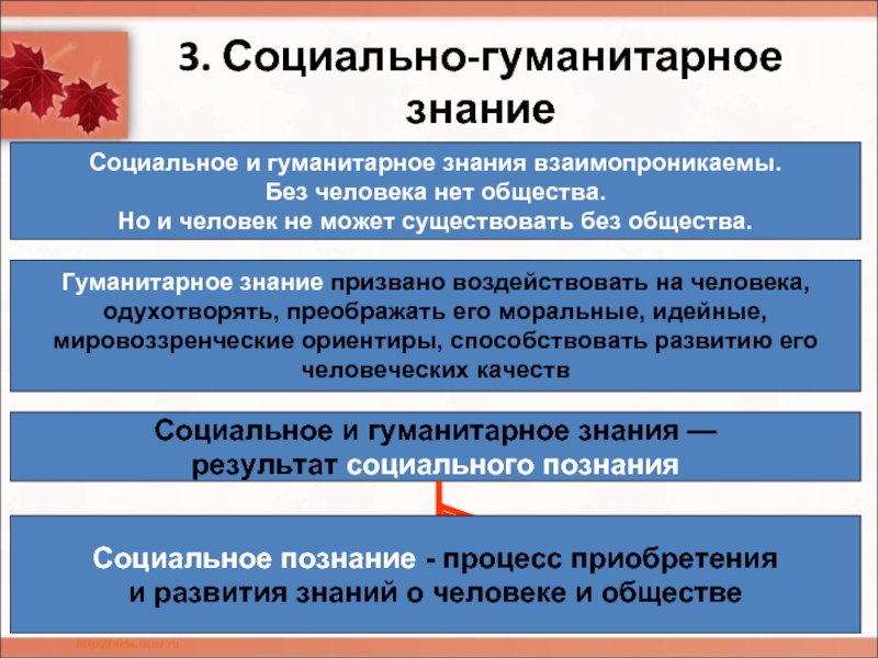 Понятие социальной науки. Социальные и Гуманитарные знания. Специфика социального и гуманитарного знания. Социально-гуманитарное познание. Социальные и Гуманитарные знания Обществознание.