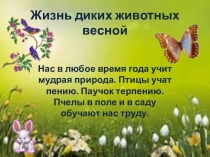 Жизнь диких животных весной