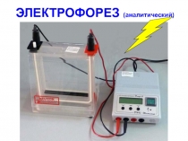 ЭЛЕКТРОФОРЕЗ