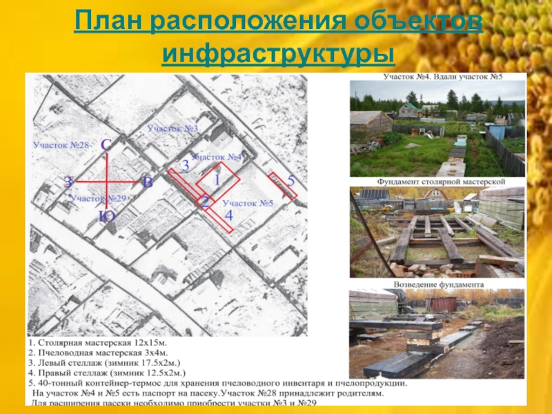 План инфраструктуры. Пгт.суна ИП Александров. План завода целебная Радуга. ИП Александров Сергей Леонидович суна.