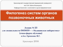 Филогенез систем органов позвоночных животных