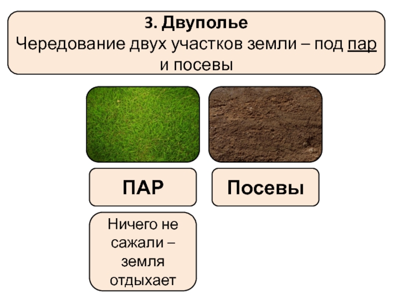 В чем преимущество двуполья