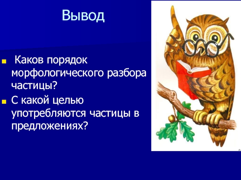 Сделайте вывод какова. Порядок морфологического разбора частицы.