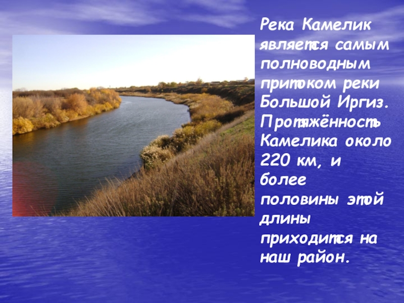 Как люди являются на реку. Река Камелик Саратовская область. Река Камелик Самарская область. Река большой Иргиз Пугачев. Камелик река на карте.