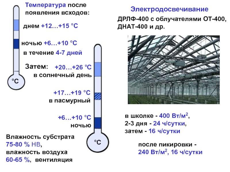 Температура 26