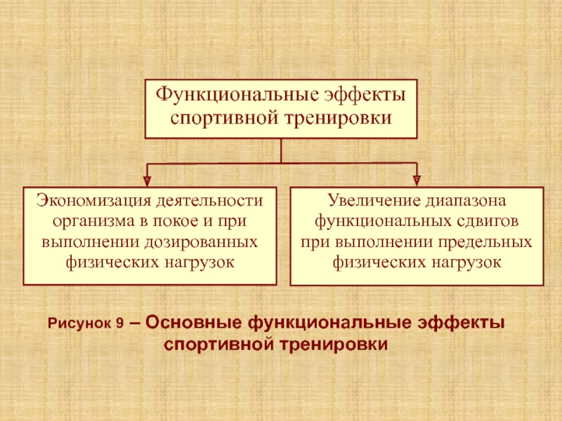 Лекция 5К Рисунок 9 – Основные функциональные эффекты спортивной тренировки Рисунок 9 – Основные функциональные эффекты спортивной тренировки