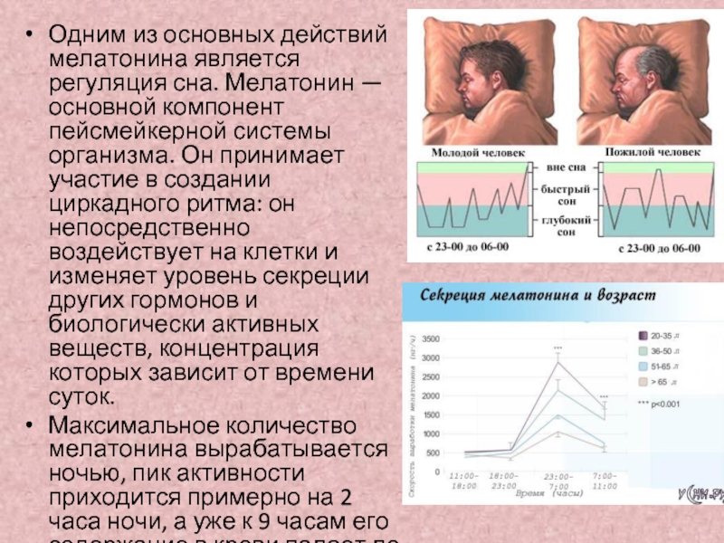 Какой гормон во сне. Мелатонин гормон сна. Мелатонин циркадные ритмы. Мелатонин функции. Мелатонин и половое развитие.