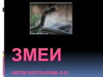 Змеи