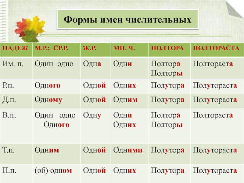 Какая форма имени. Форма имени.