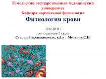 Физиология крови