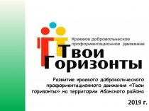 Развитие краевого добровольческого профориентационного движения Твои