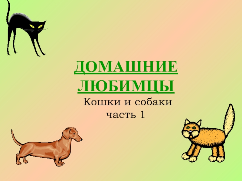 Презентация ДОМАШНИЕ ЛЮБИМЦЫ Кошки и собаки часть 1