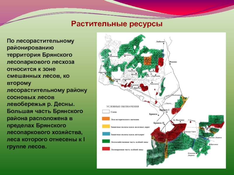В какой природной зоне располагается краснодарский край. Природные богатства Брянской области. Карта-схема лесорастительного районирования лесов. Природные зоны Брянской области. Природные ресурсы Брянска.