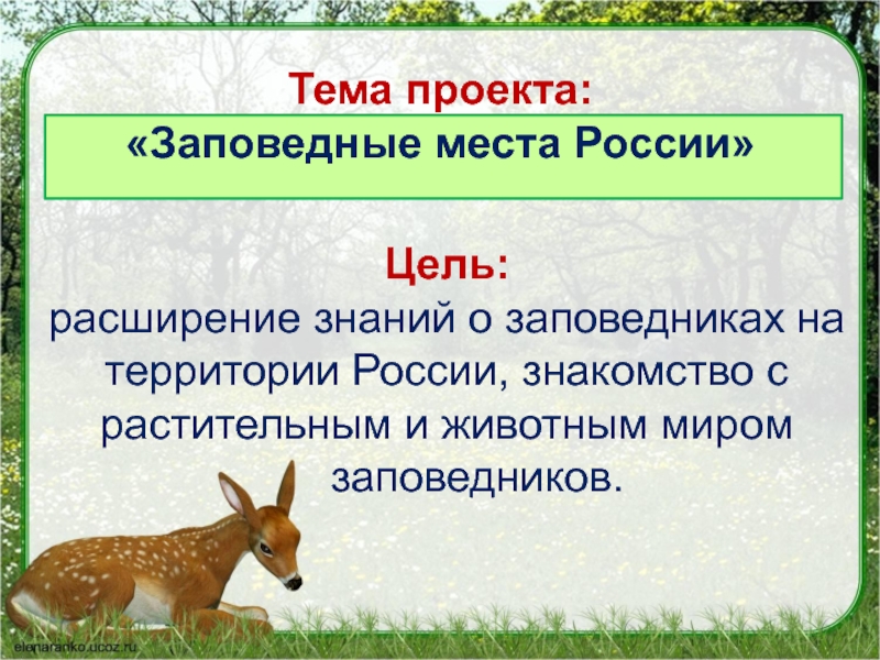 Проект по окружающему миру 4 класс заповедники и национальные парки россии