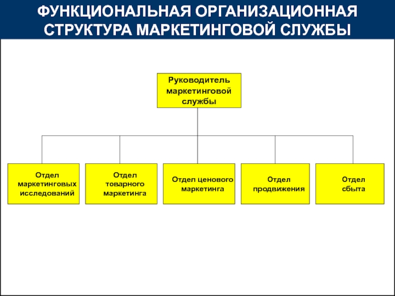 Руководитель маркетинговых проектов