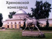 Хреновской конезавод