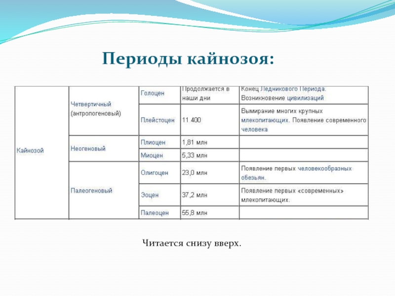 1 период кайнозоя. Кайнозой Эра таблица. Кайнозой этапы. Эпохи кайнозоя. Кайнозой периоды.