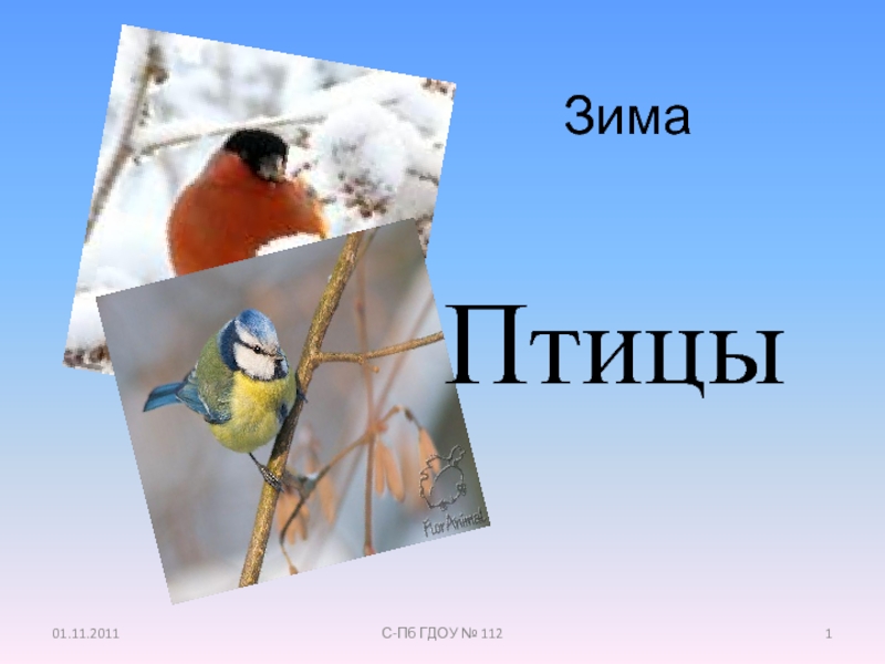 Зима. Птицы