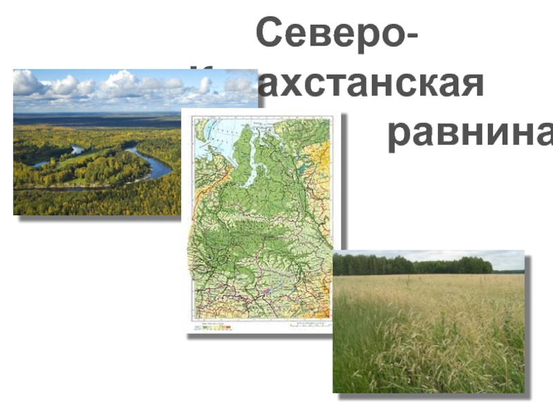 Презентация Северо-Казахстанская равнина