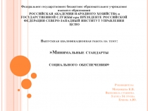 Выпускная квалификационная работа на тему: Минимальные стандарты социального