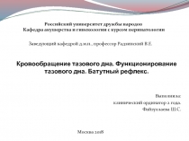 Кровообращение тазового дна. Функционирование тазового дна. Батутный рефлекс