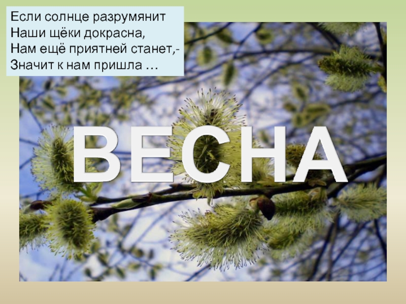 Весна презентация 2 класс