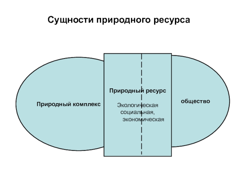 Общество комплекс. Сущность природных ресурсов. Экономическая сущность природных ресурсов. Природный объект сущность. Сущности природные.