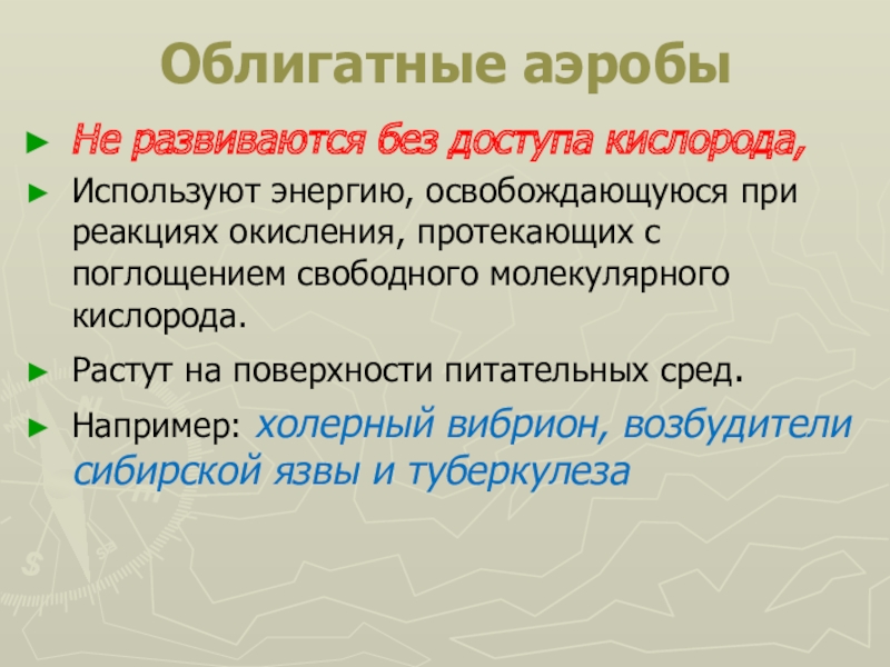 Облигатный хищник это. Облигатные аэробы. Облигатные аэробы примеры. К облигатным аэробам относятся. Туберкулез облигатный аэроб.