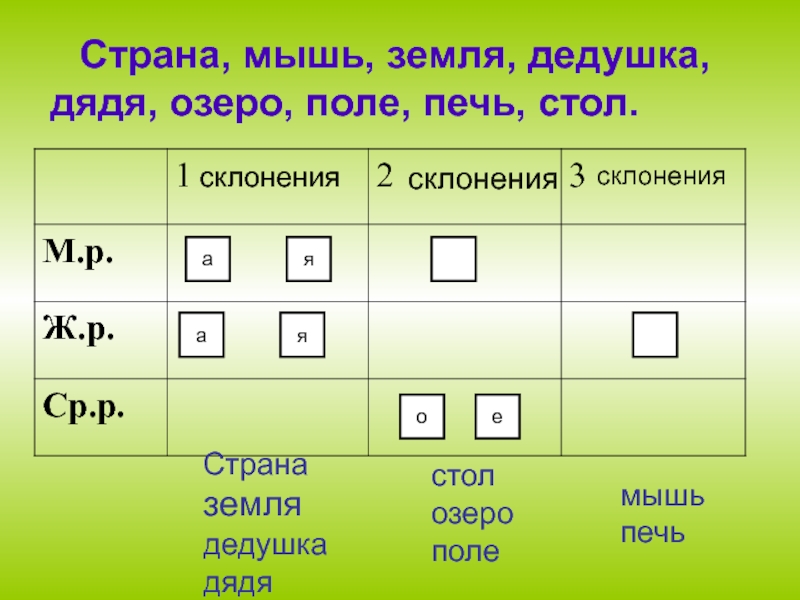 Дядя склонение. Печь мышь 3 склонения. Мышь склонение. Поле склонение.