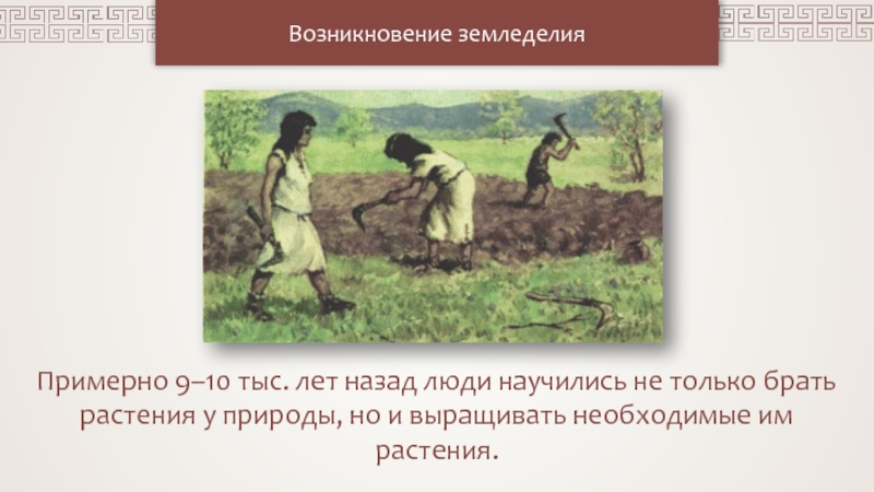 Презентация Возникновение земледелия
Примерно 9–10 тыс. лет назад люди научились не только