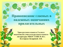 Правописание гласных в падежных окончаниях прилагательных 5 класс